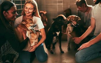Prioritising Animal Welfare: TradeTreasures.ie’s Stance on Animal Sale Ads
