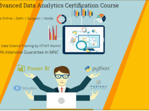 Data Analyst Course in Delhi, 110006. Best Online Live