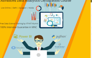 Data Analyst Course in Delhi, 110006. Best Online Live