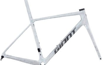 2025 Giant TCR Advanced SL Frameset (ALANBIKESHOP)