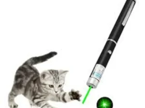 Green Laser Pointer 5mW