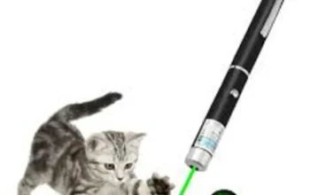 Green Laser Pointer 5mW