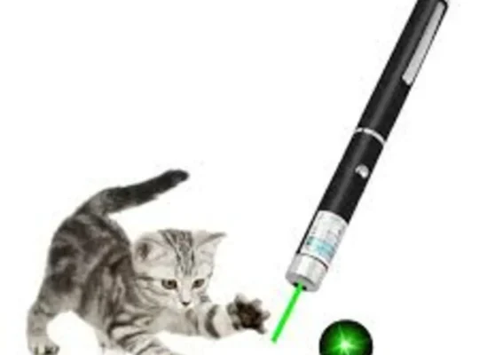 Green Laser Pointer 5mW