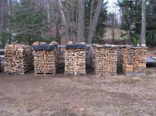 Kiln Dried Alder Logs Large Crate